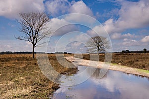 Nature reserve the Regte Heide