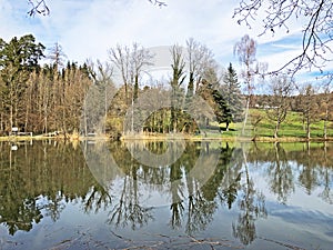 Nature reserve small Rumensee lake or Rumensee pond oder Naturschutzgebiet Rumensee, Kusnacht am Zurichsee Kusnacht am Zuerichsee photo