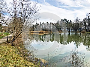 Nature reserve small Rumensee lake or Rumensee pond oder Naturschutzgebiet Rumensee, Kusnacht am Zurichsee Kusnacht am Zuerichsee