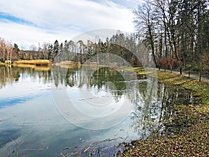 Nature reserve small Rumensee lake or Rumensee pond oder Naturschutzgebiet Rumensee, Kusnacht am Zurichsee Kusnacht am Zuerichsee