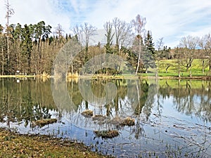 Nature reserve small Rumensee lake or Rumensee pond oder Naturschutzgebiet Rumensee, Kusnacht am Zurichsee Kusnacht am Zuerichsee