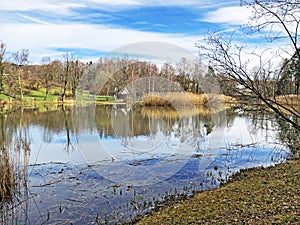 Nature reserve small Rumensee lake or Rumensee pond oder Naturschutzgebiet Rumensee, Kusnacht am Zurichsee Kusnacht am Zuerichsee