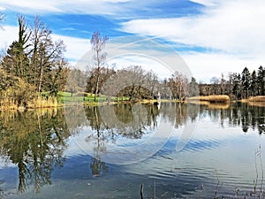 Nature reserve small Rumensee lake or Rumensee pond oder Naturschutzgebiet Rumensee, Kusnacht am Zurichsee Kusnacht am Zuerichsee photo