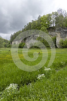 Nature reserve Udoli Plakanek near Kost castle, Eastern Bohemia, Czech Republic