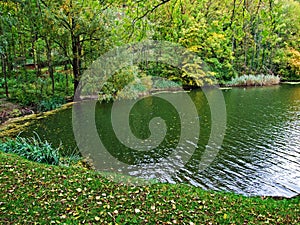 Nature reserve Wichenstein or Naturschutzgebiet Wichenstein or Wichenstein Weiher, Oberriet photo