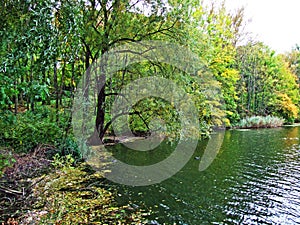 Nature reserve Wichenstein or Naturschutzgebiet Wichenstein or Wichenstein Weiher, Oberriet photo