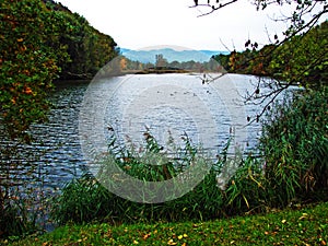 Nature reserve Wichenstein or Naturschutzgebiet Wichenstein or Wichenstein Weiher, Oberriet photo