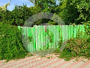 Nature retaking manmade fence