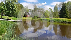 Nature by the river in spring near the forest.