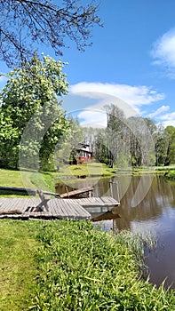 Nature by the river in spring near the forest.