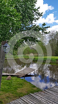 Nature by the river in spring near the forest.