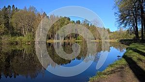 Nature of Russia, Spring, Reflection in water