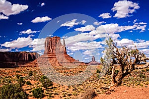 Nature`s Artistry at Monument Valley