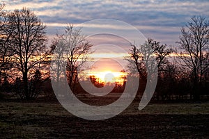 Nature's beauty awakens with a serene sunrise over a field, casting silhouettes of trees