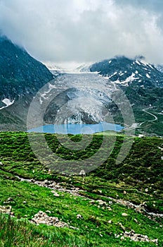 Nature\'s Contrast: Glacier versus Green Meadows and Trees