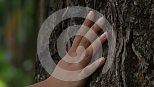 Nature\'s Embrace: Hand Tenderly Touching the Bark of a Tree with Love