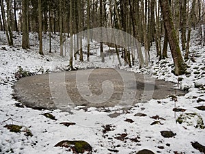 Nature\'s Ice Canvas: Frozen Water Puddle in Pokainu Mezs, Dobele, Latvija