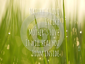 Nature`s Love is like Mother`s Love, inspiration and motivational quotes from nature