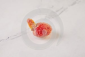 Nature's Oddity, ugly, irregularly shaped Lychee, stands out against light marble background