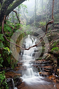 Nature`s playground are the best Blue Mountains Australia