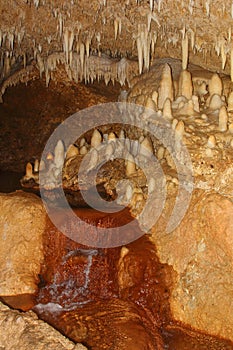 Nature's Sculptures in Barbados