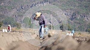 Nature's Superfood: Peasant Farmer Planting Amaranth Seeds