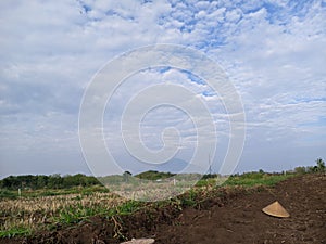 Nature's Symphony: Fields, Agriculture, Clouds & Skies. Grasslands, Mountains, Coastlines, and Endless Horizons.