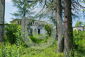 Nature's Triumph: Abandoned Sanatoriums with Broken Windows and Doors