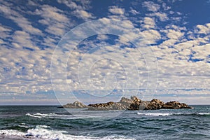 Nature Sanctuary, Cobquecura Chile photo