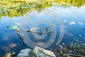 Nature scene on the Des Milles Iles River