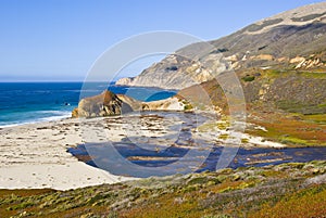 nature scene on monterey bay