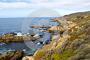 Nature scene on monterey bay