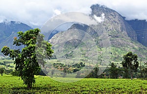 Nature Scene in a National Park in Africa