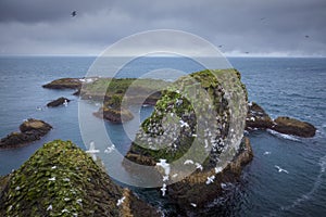 Nature scene near Arnastapi cliffs on Snaefellsnes peninsula at west Iceland