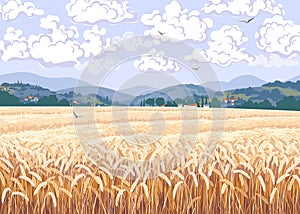 Nature Scene with Ripe Wheat Field, Hills, Clouds in Sky