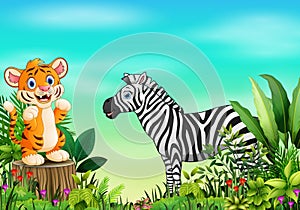 Nature scene with a tiger standing on tree stump and zebra