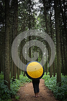 Nature scene with yellow umbrella