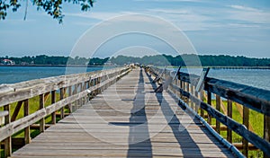 Nature scenes around hunting island south carolina