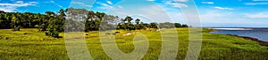 Nature scenes around hunting island south carolina