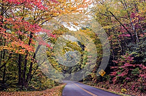 Nature scenes on blue ridge parkway great smoky mountains