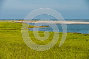 Nature scenes on hunting island south carolina