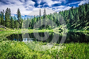 Nature scenics around spokane river washington photo