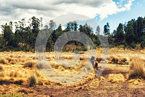 Nature Scenics Michoacan Mexico