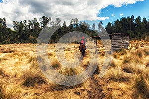 Nature Scenics Michoacan Mexico