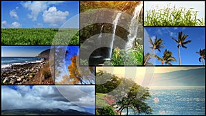 Nature Scenics Video Montage