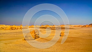 Nature sculpture in Wadi Al-Hitan aka Whales Valley in Egypt