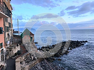 Nature and sea in Genoa town, Liguria region, Italy