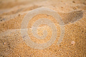 Nature sea sand background texture Photography.