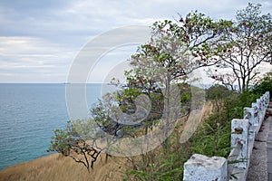 Nature sea view on the island