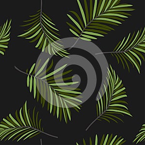 Nature seamless pattern. Hand drawn tropical summer background: green palm tree leaves background. Black backdrop.